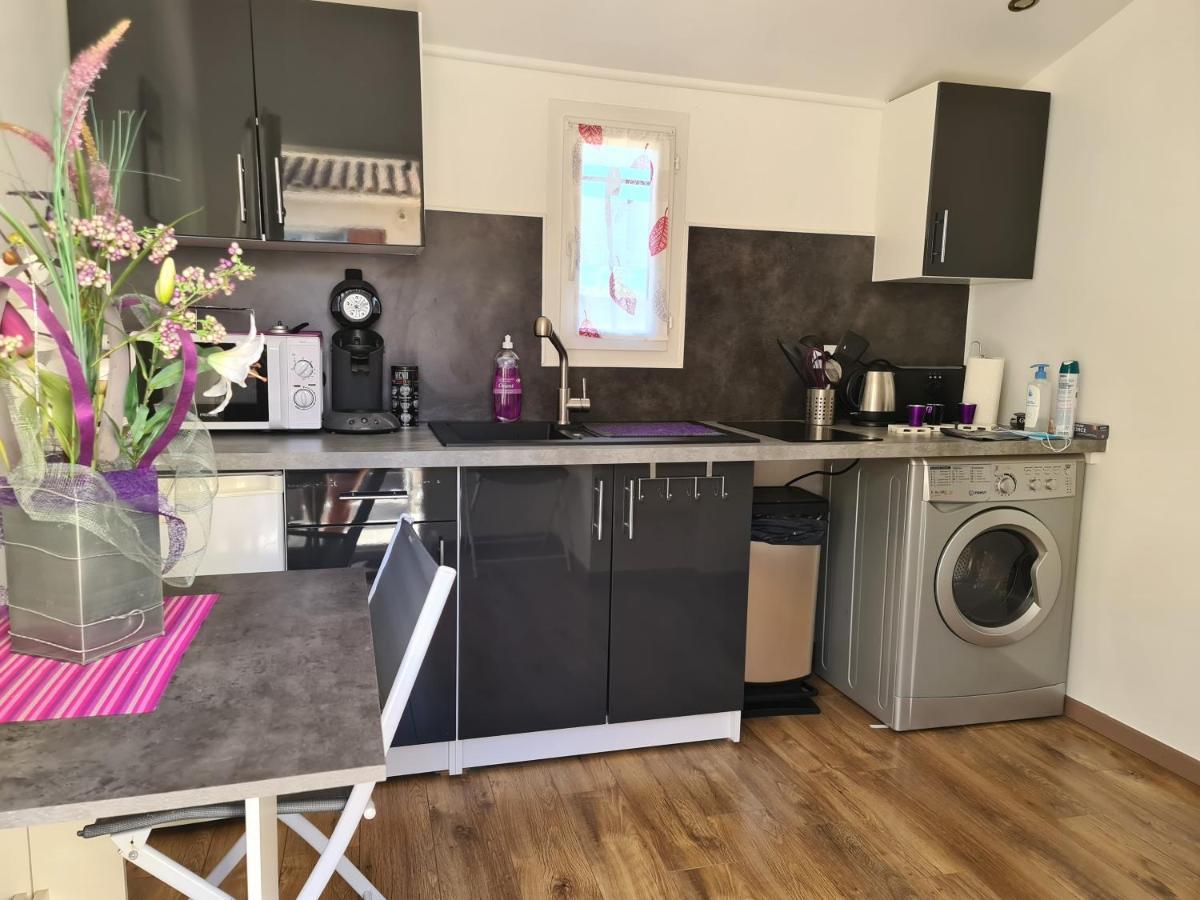 Appartements Dans Villa Privee Avec Piscine, Jardin, Parking Clos, Wifi, Climatisation Meyreuil Exteriör bild